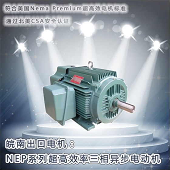 皖南電機-NEP系列超高效電機