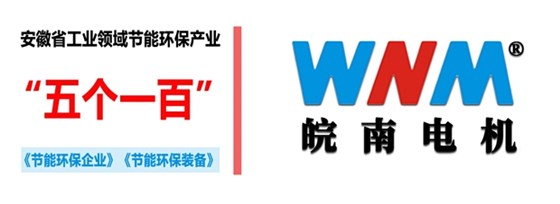 皖南電機入選2018年度安徽省工業(yè)領域節(jié)能環(huán)保產業(yè)“五個一百”推介目錄